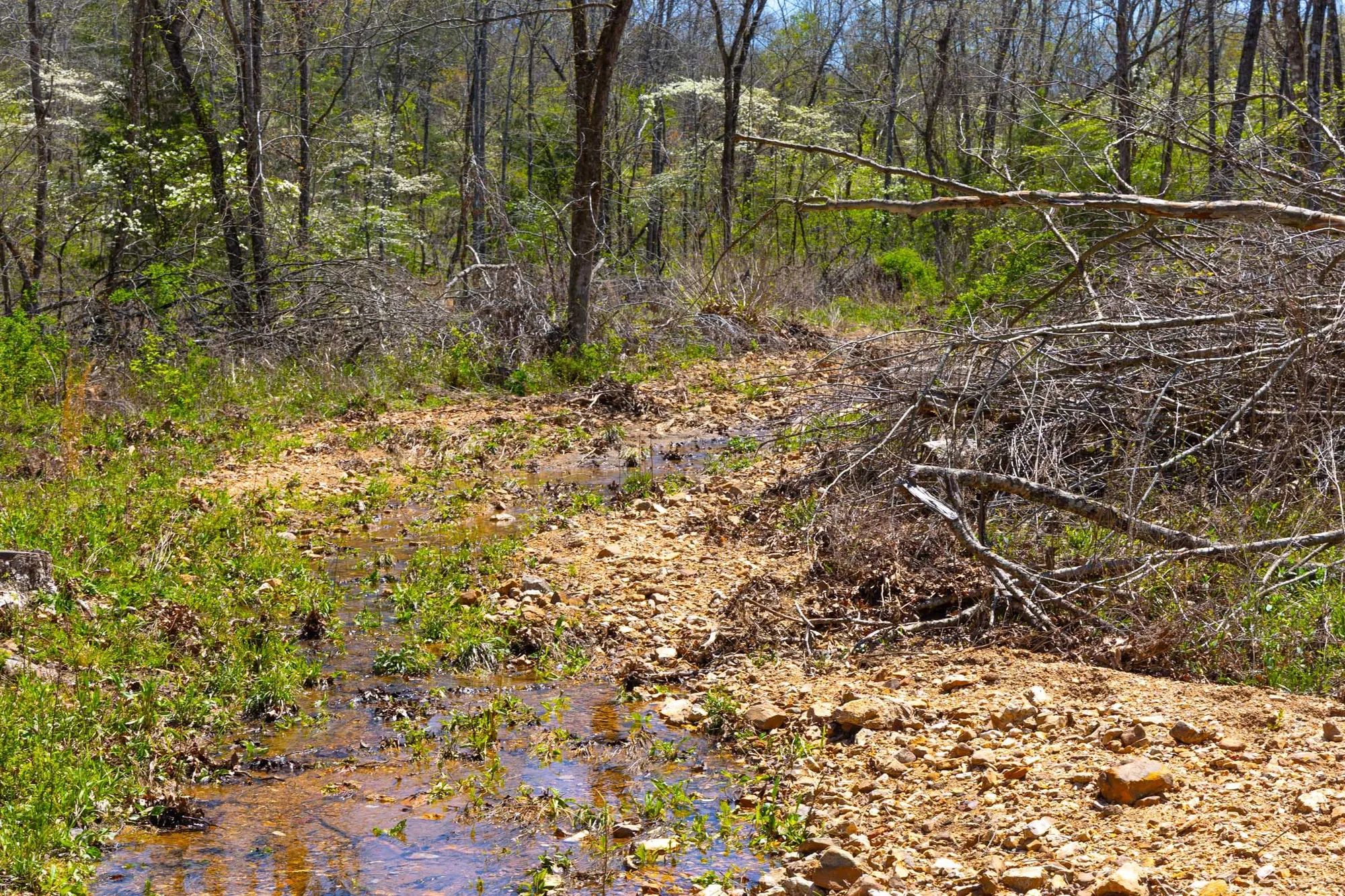 Lazybrook Tract 19 in Fulton County, AR