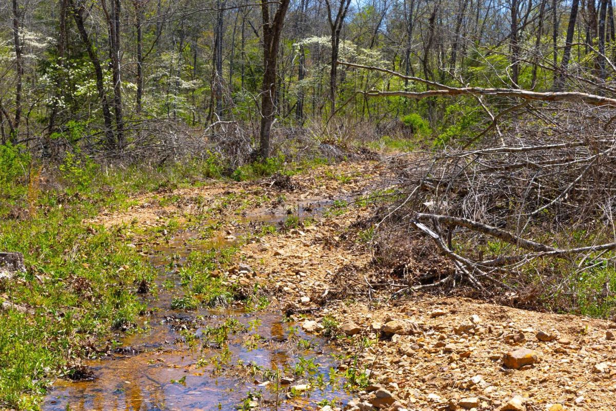 Lazybrook Tract 19 - Image 3