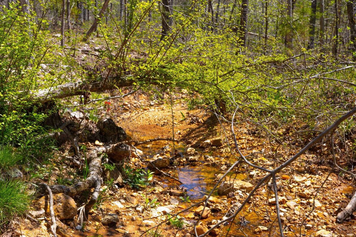 Decorative background for Lazybrook Tract 19 image 5