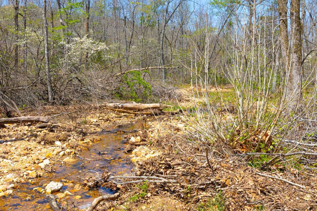 Decorative background for Lazybrook Tract 19 image 8
