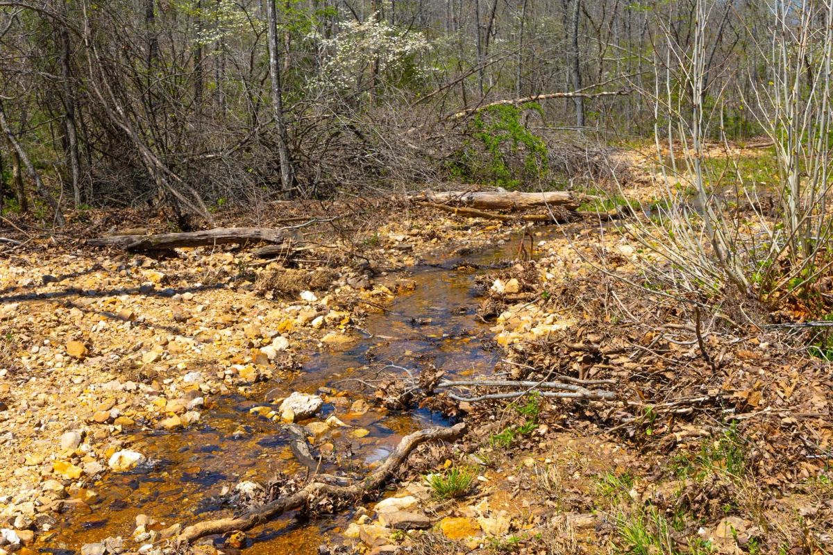 Decorative background for Lazybrook Tract 19 image 10