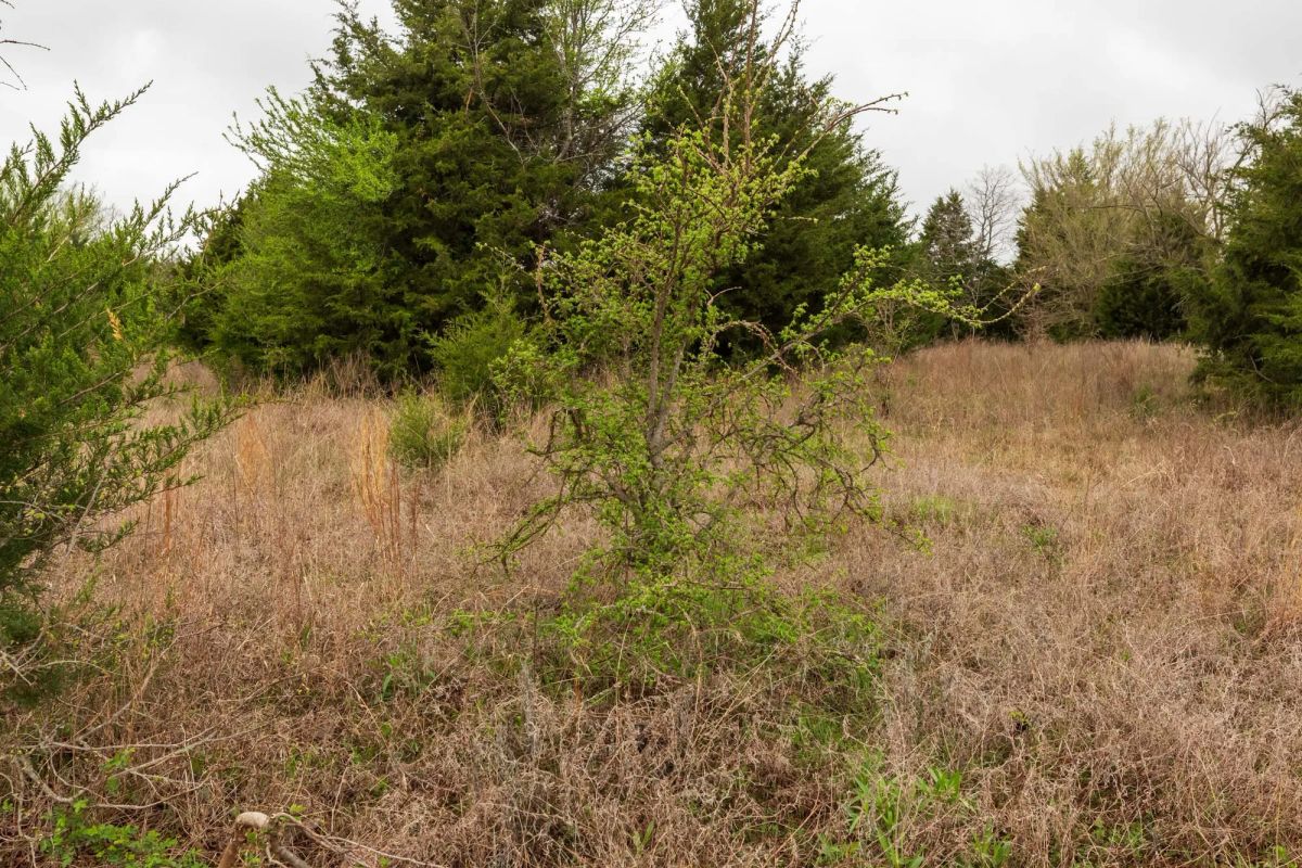 Moonrise Meadows Tract 5 - Image 3