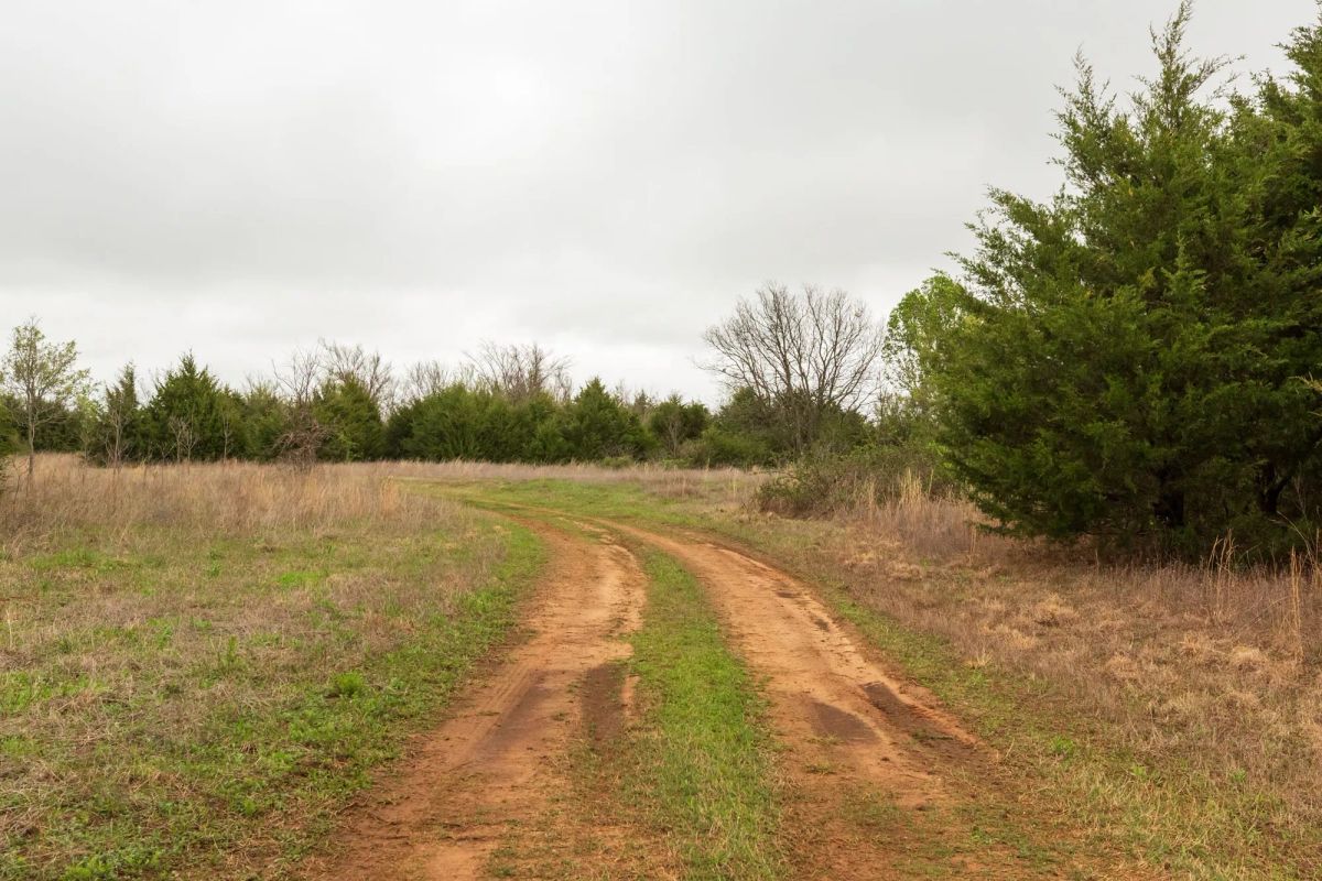 Decorative background for Moonrise Meadows Tract 5 image 12
