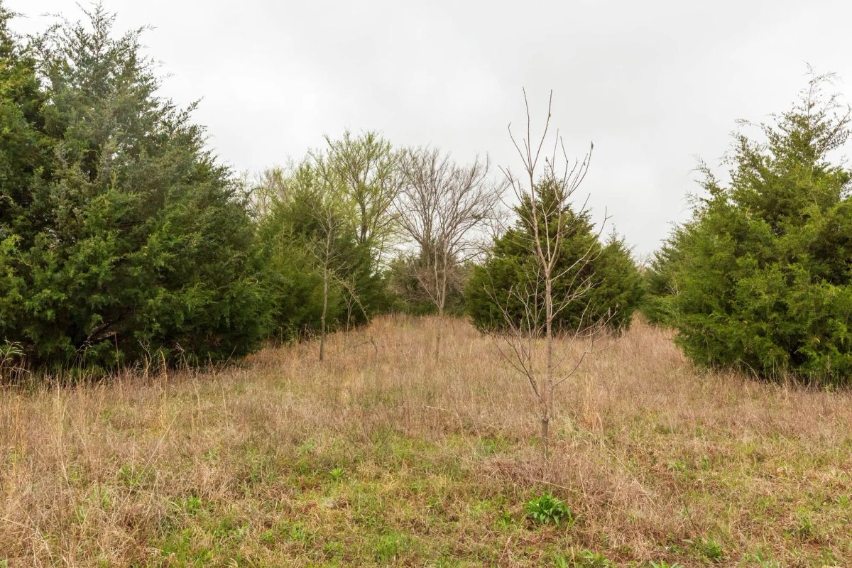 Decorative background for Moonrise Meadows Tract 5 image 15