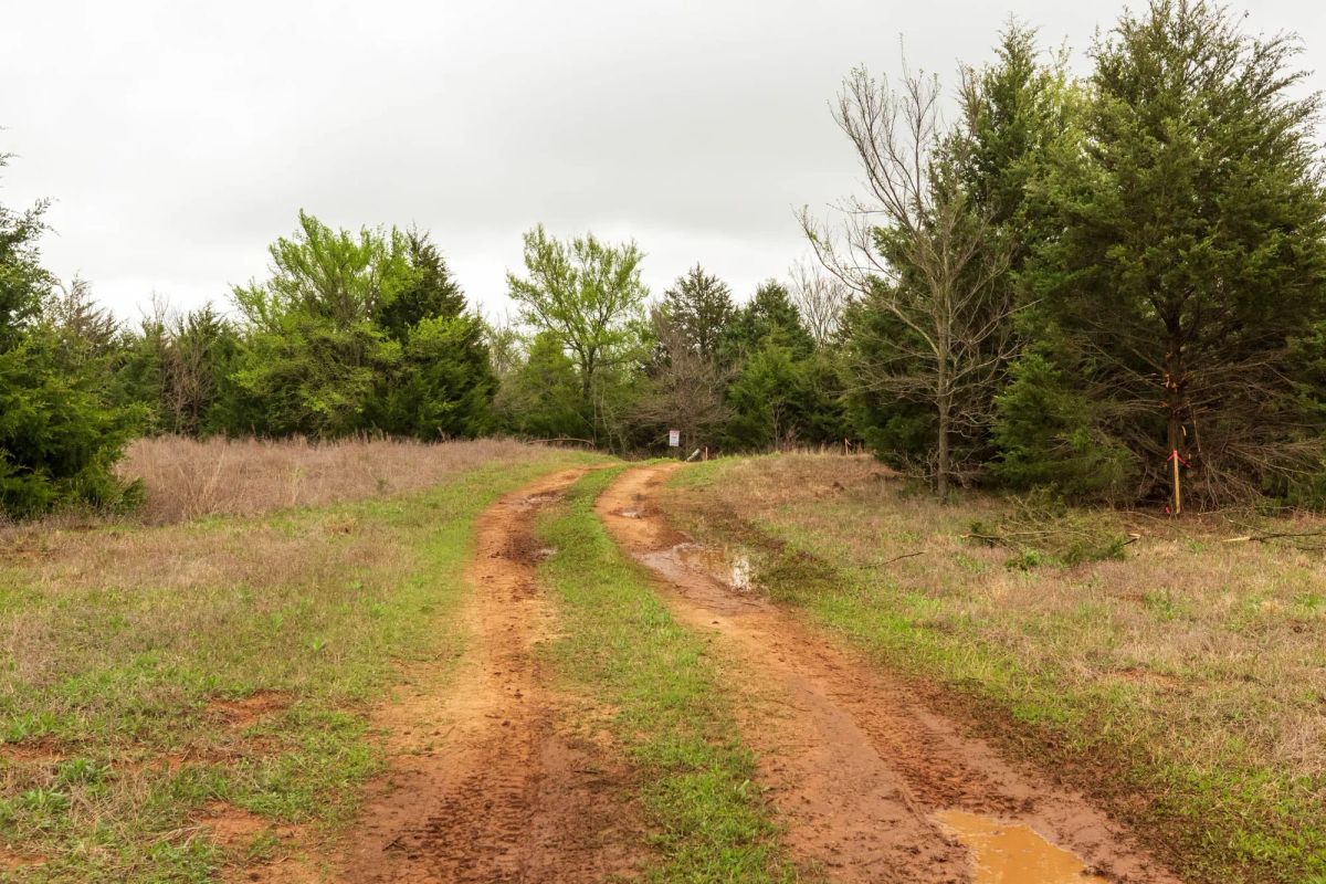 Decorative background for Moonrise Meadows Tract 5 image 18