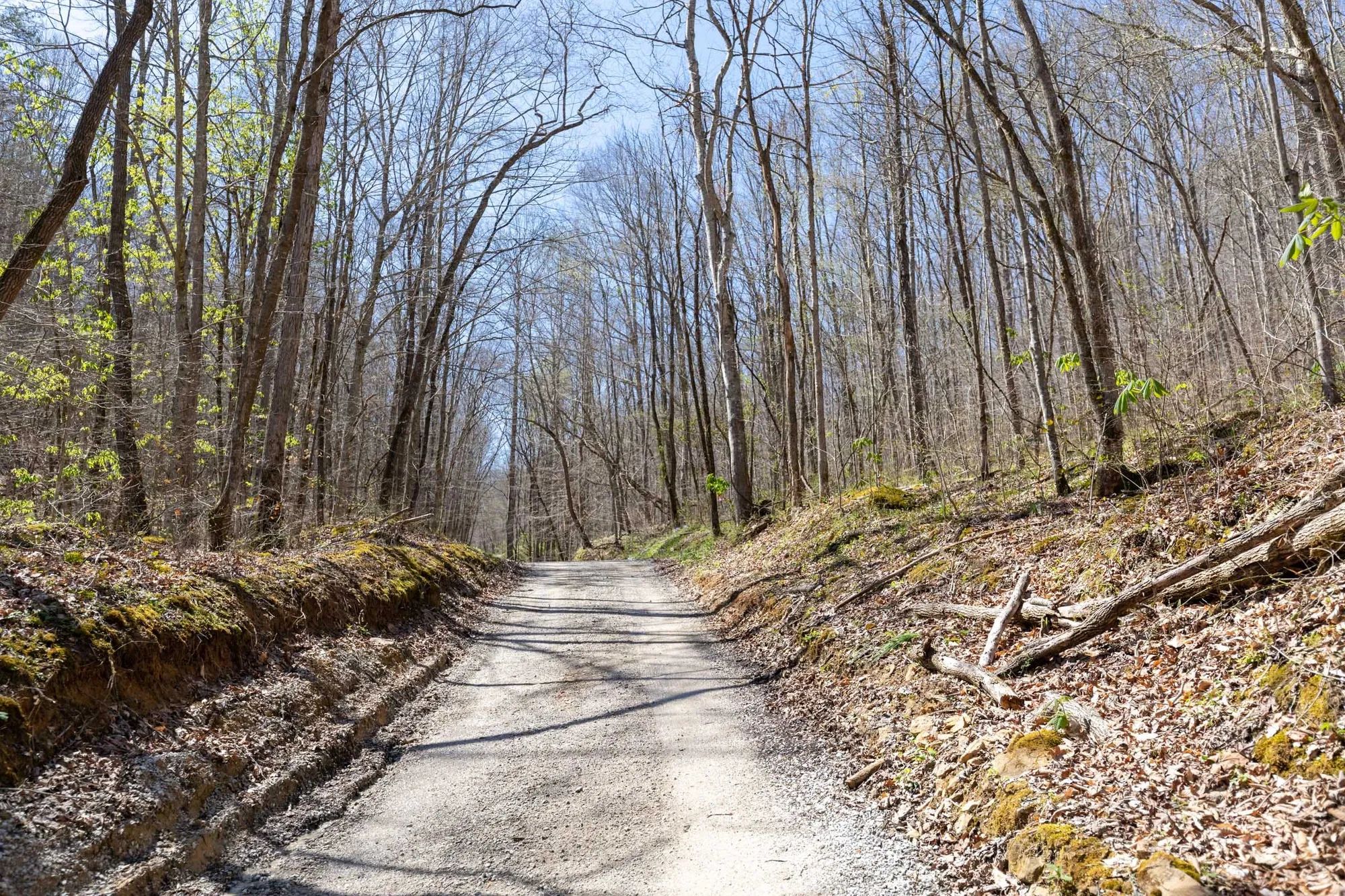 Woodland Heights Tract 14 in Wayne County, KY