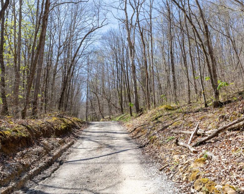Woodland Heights Tract 14 in Wayne County, KY