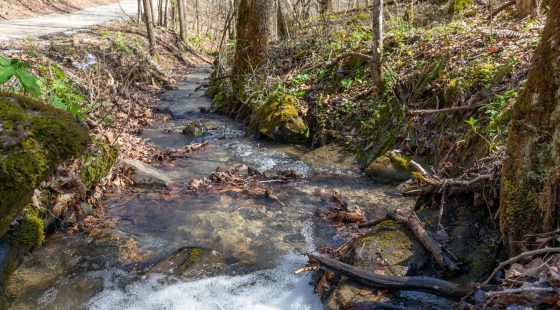 Woodland Heights Tract 14 in Wayne County, KY