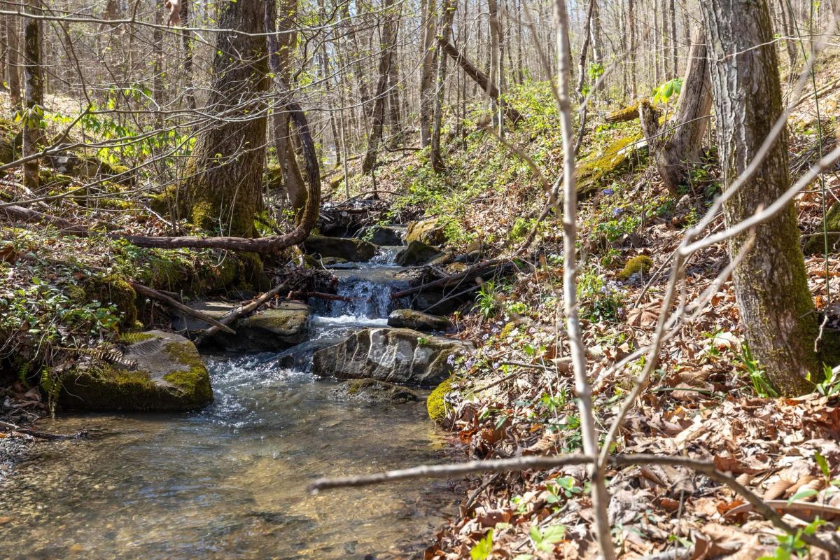 Woodland Heights Tract 14 - Image 3
