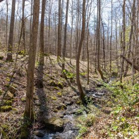 Woodland Heights Tract 14 in Wayne County, KY