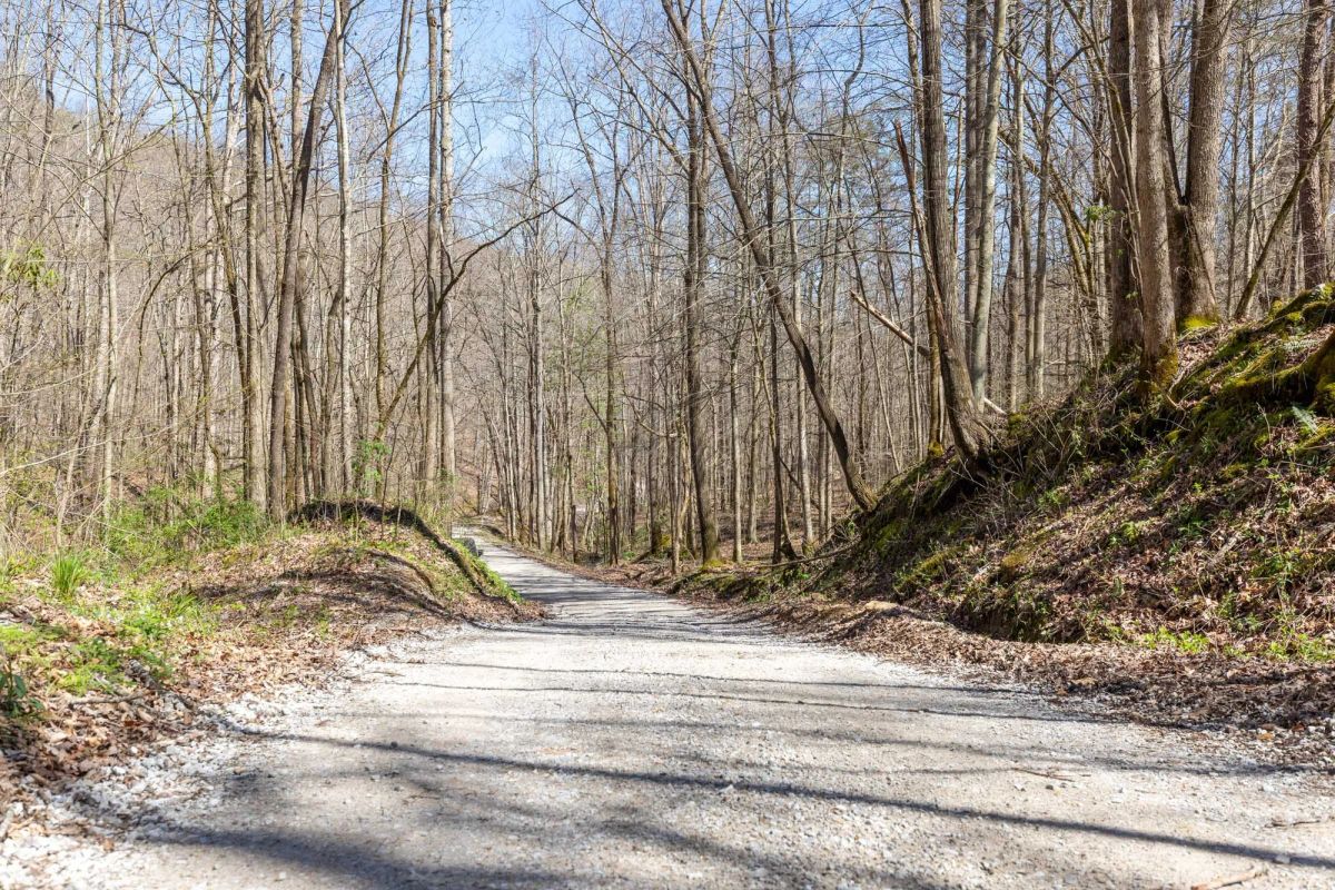 Decorative background for Woodland Heights Tract 14 image 8