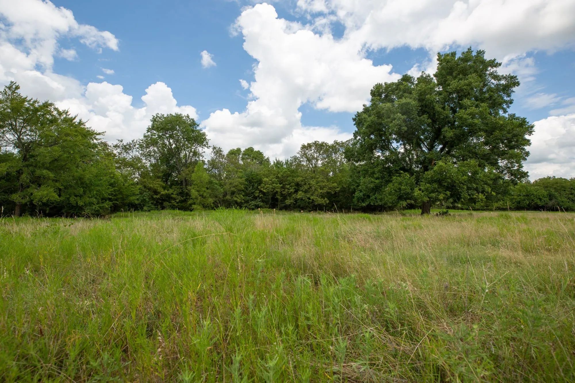 Paradise Valley Tract 3 in Pittsburg County, OK