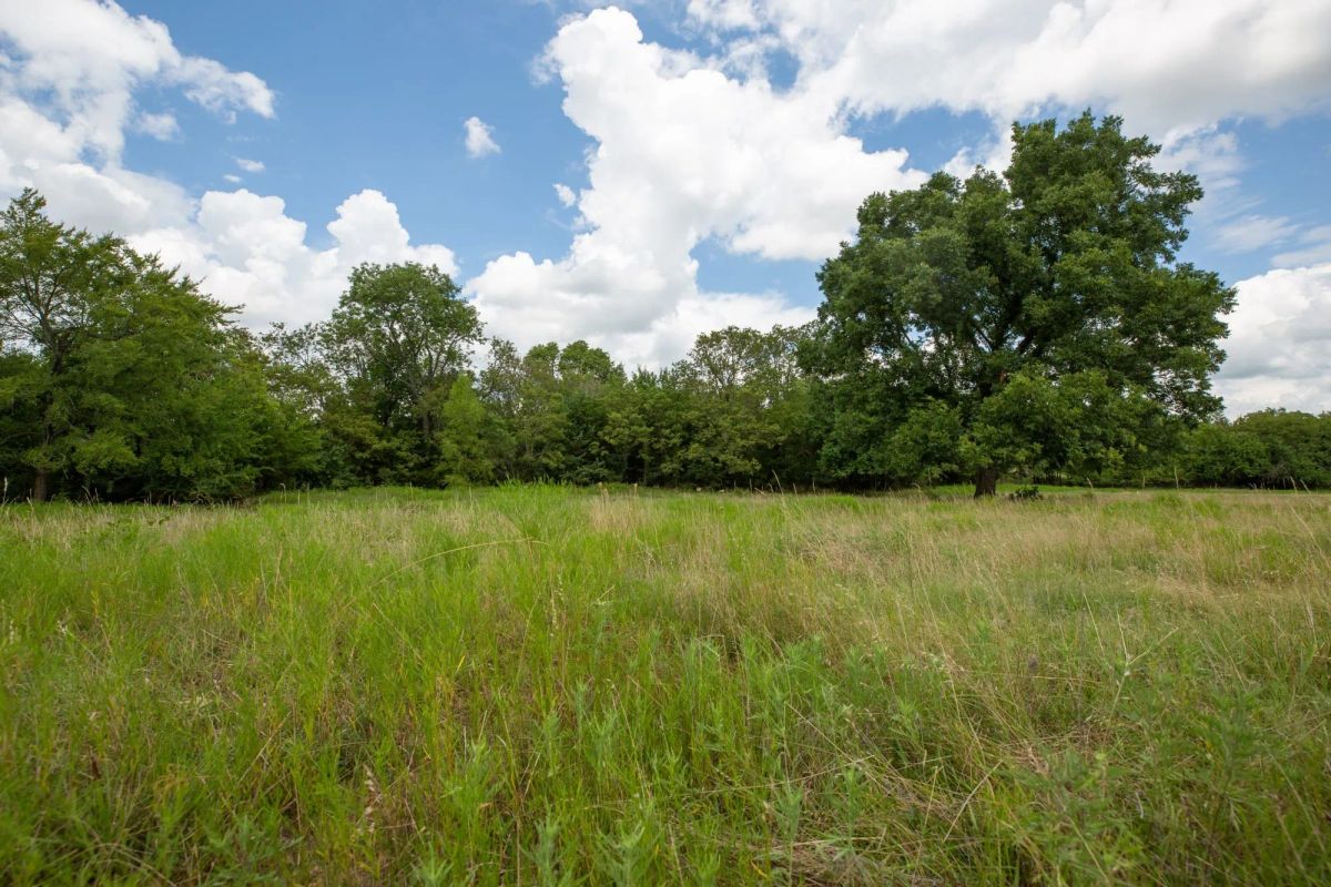 Paradise Valley Tract 3 - Image 3