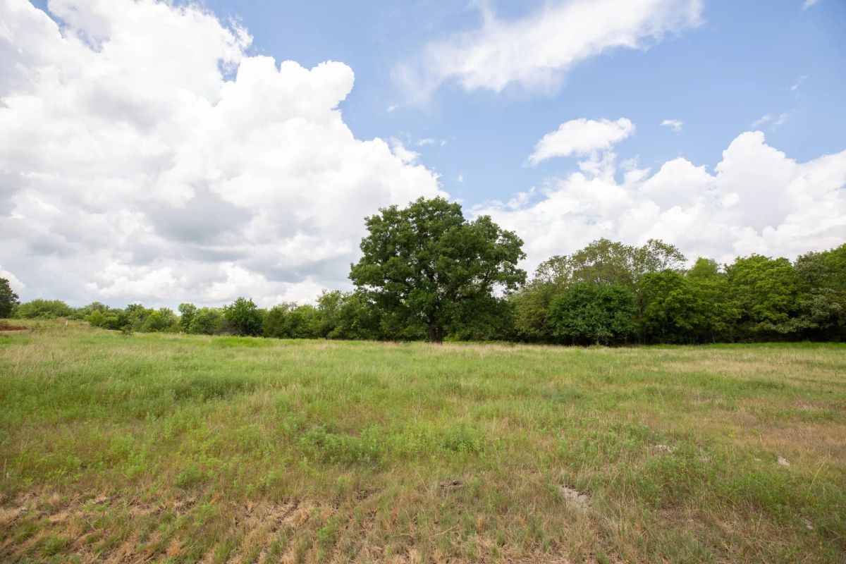 Decorative background for Paradise Valley Tract 3 image 7