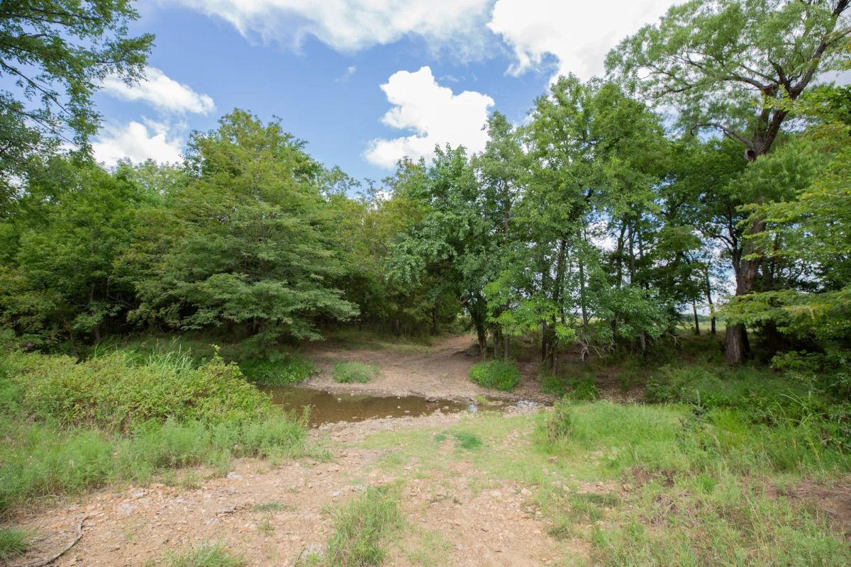 Decorative background for Paradise Valley Tract 3 image 8