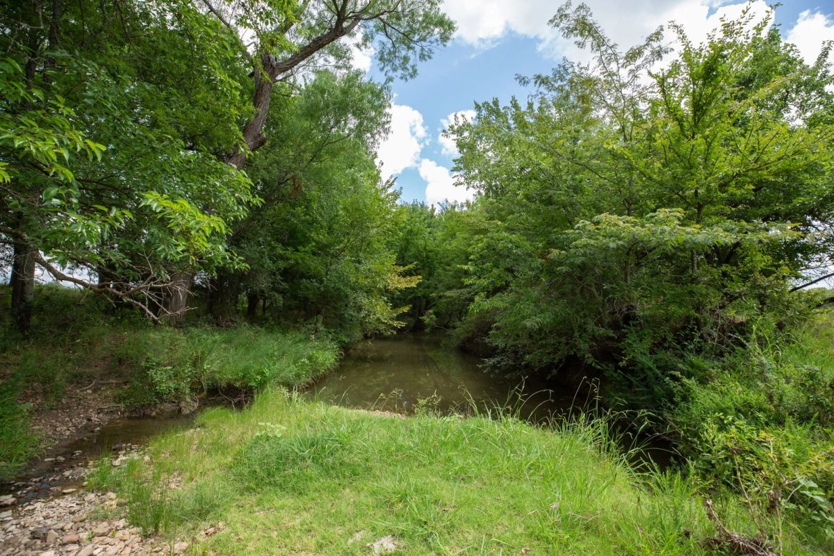 Decorative background for Paradise Valley Tract 3 image 9