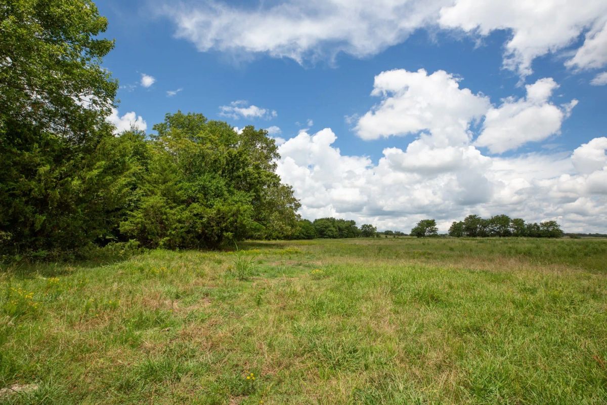 Decorative background for Paradise Valley Tract 3 image 10