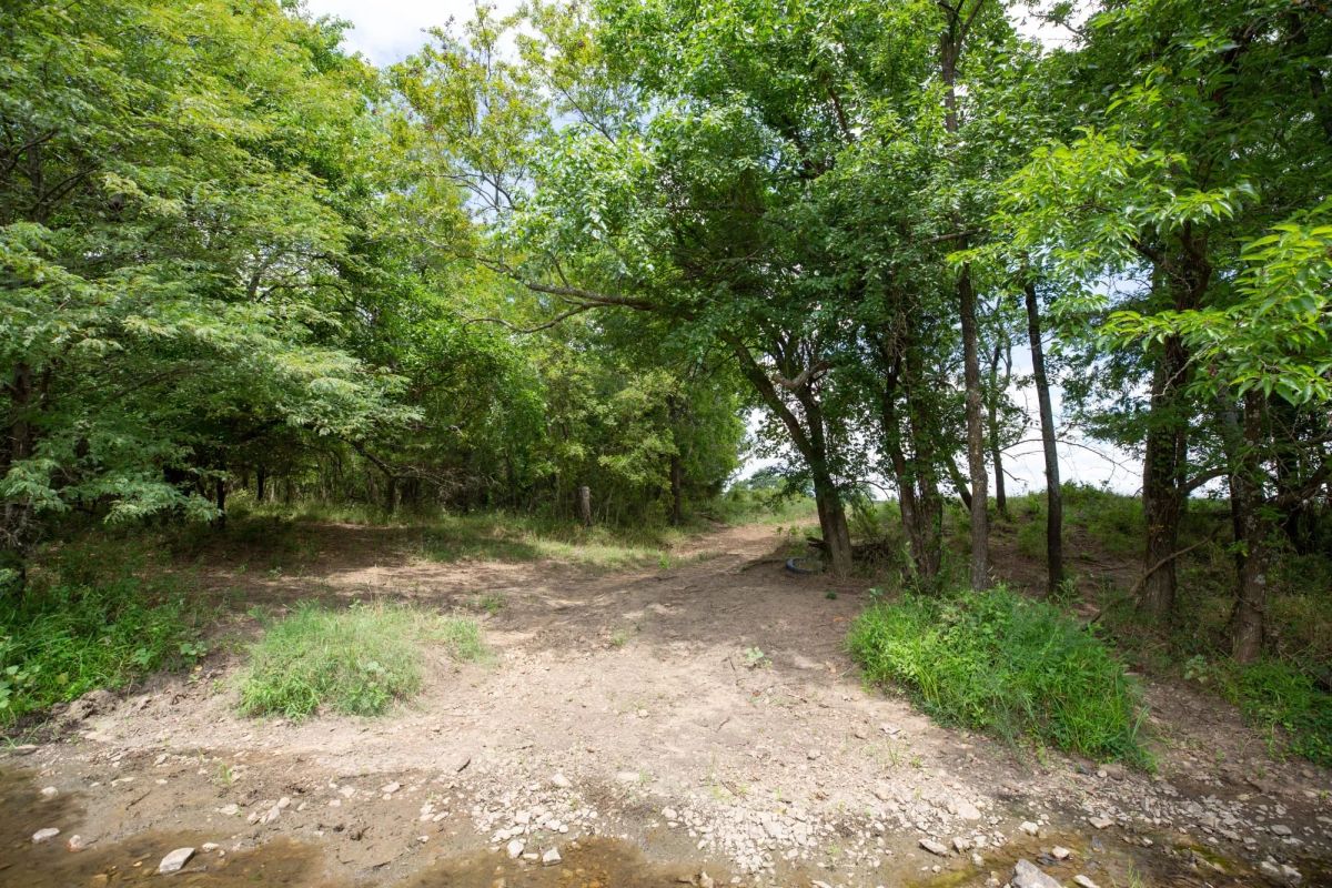 Decorative background for Paradise Valley Tract 3 image 12