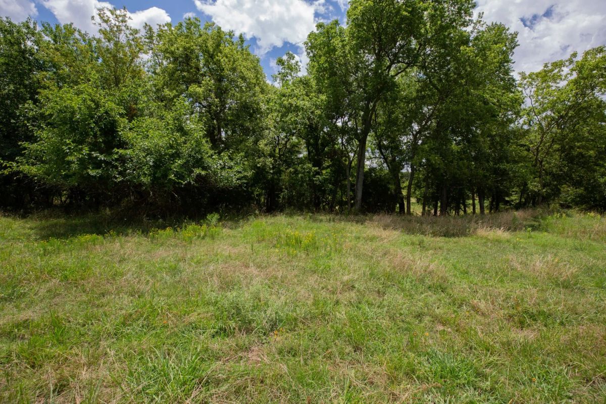 Decorative background for Paradise Valley Tract 3 image 13