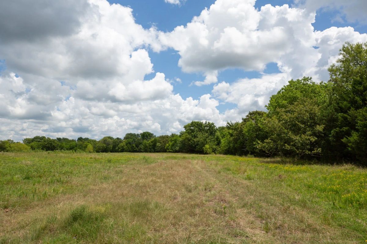 Decorative background for Paradise Valley Tract 3 image 14