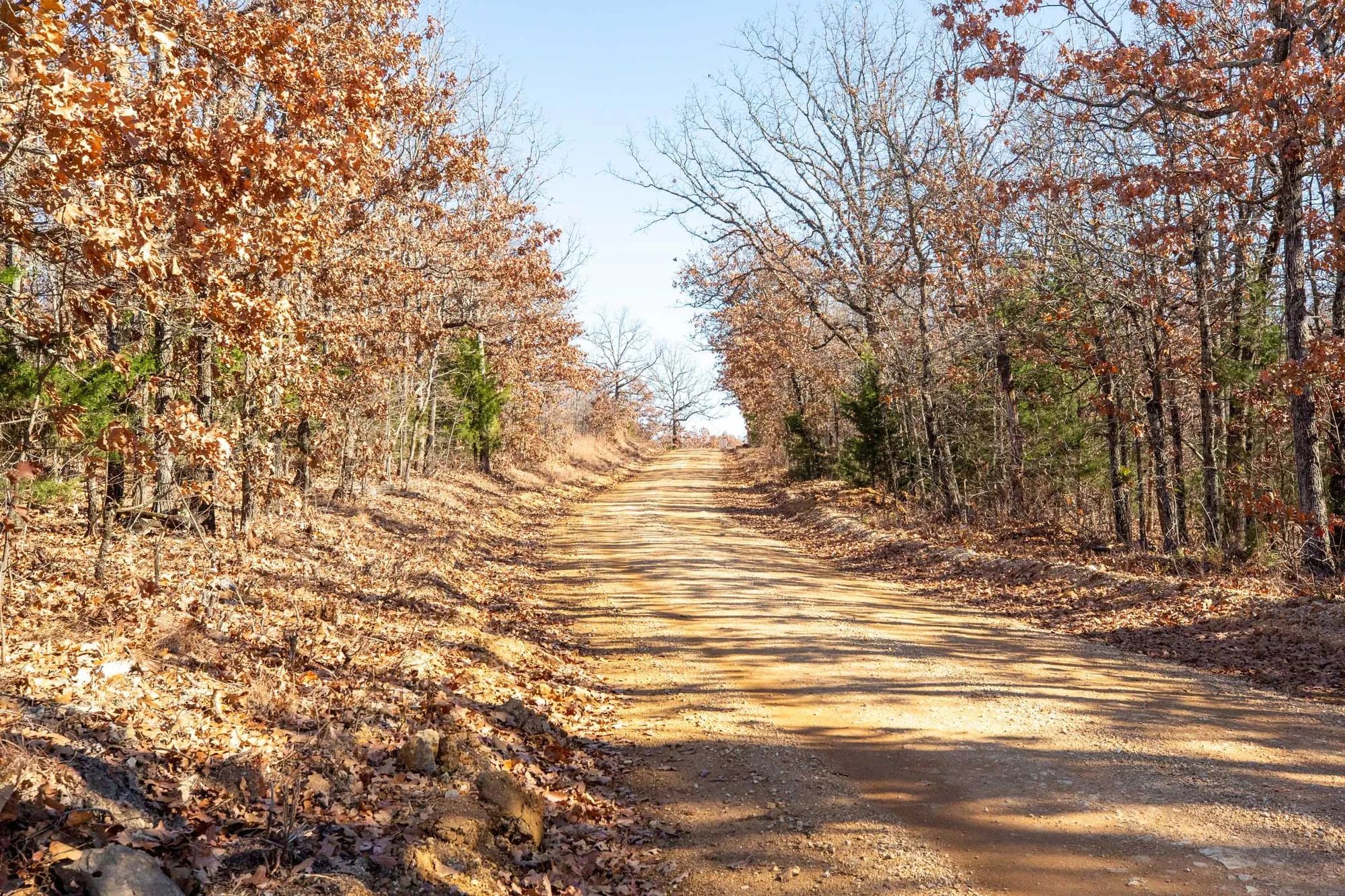 Dutchman Hollow Tract 1 in Fulton County, AR