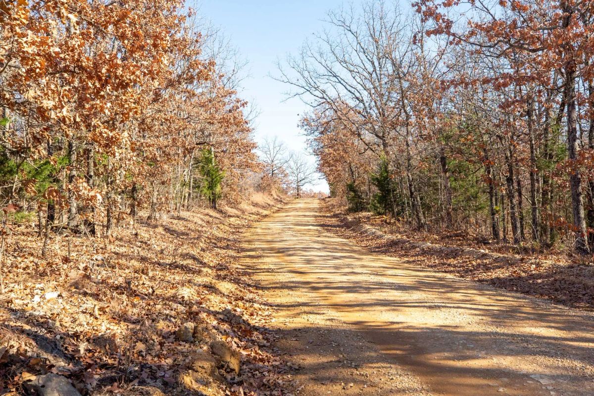 Dutchman Hollow Tract 1 - Main image