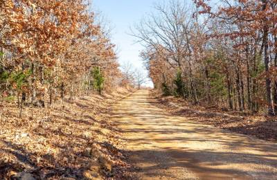 Dutchman Hollow Tract 1