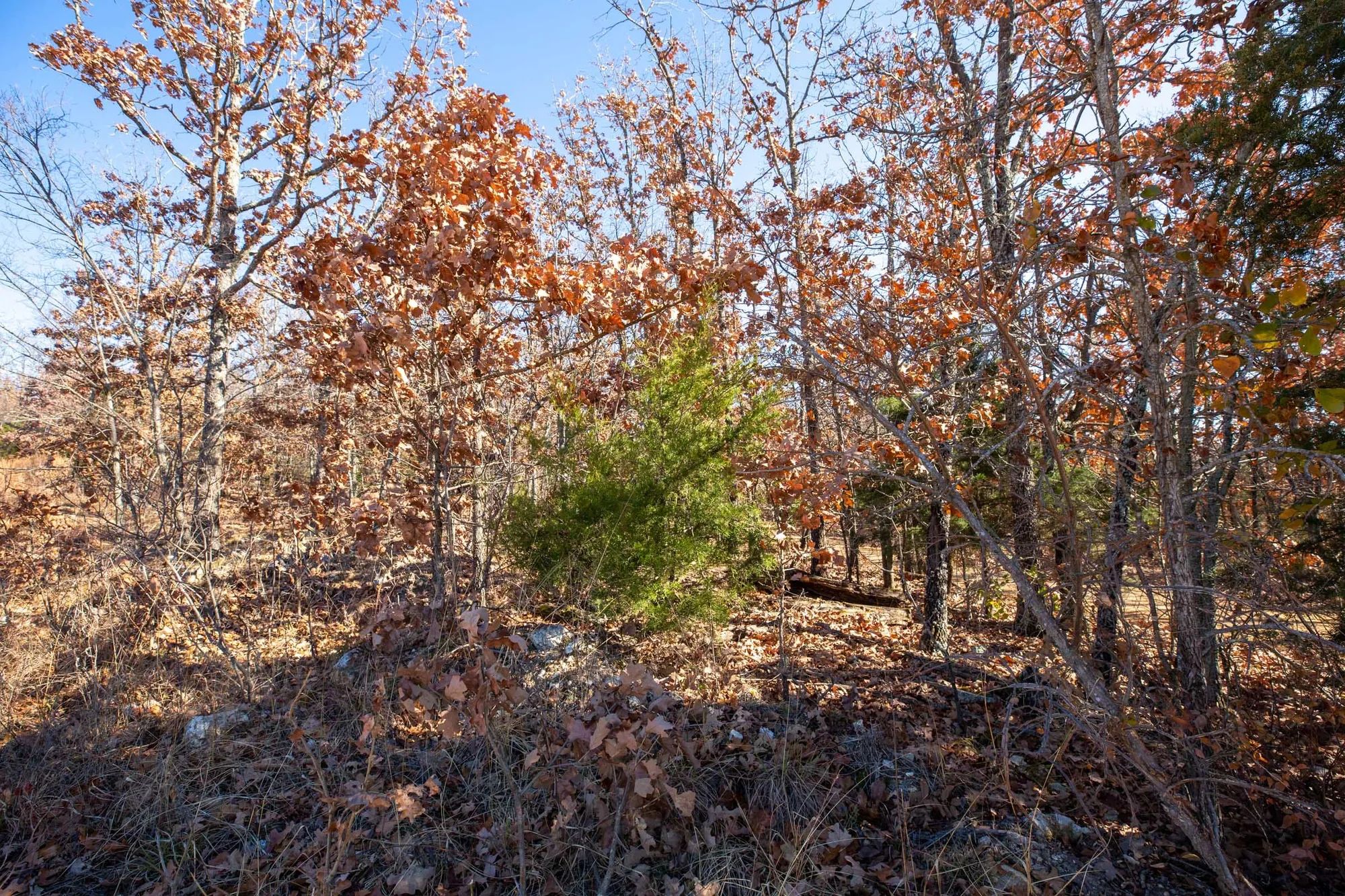 Dutchman Hollow Tract 1 in Fulton County, AR