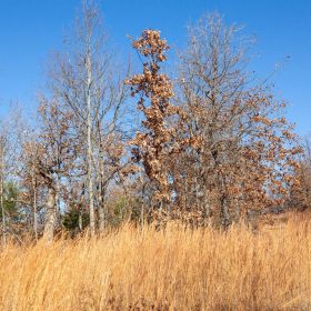 Dutchman Hollow Tract 1 in Fulton County, AR