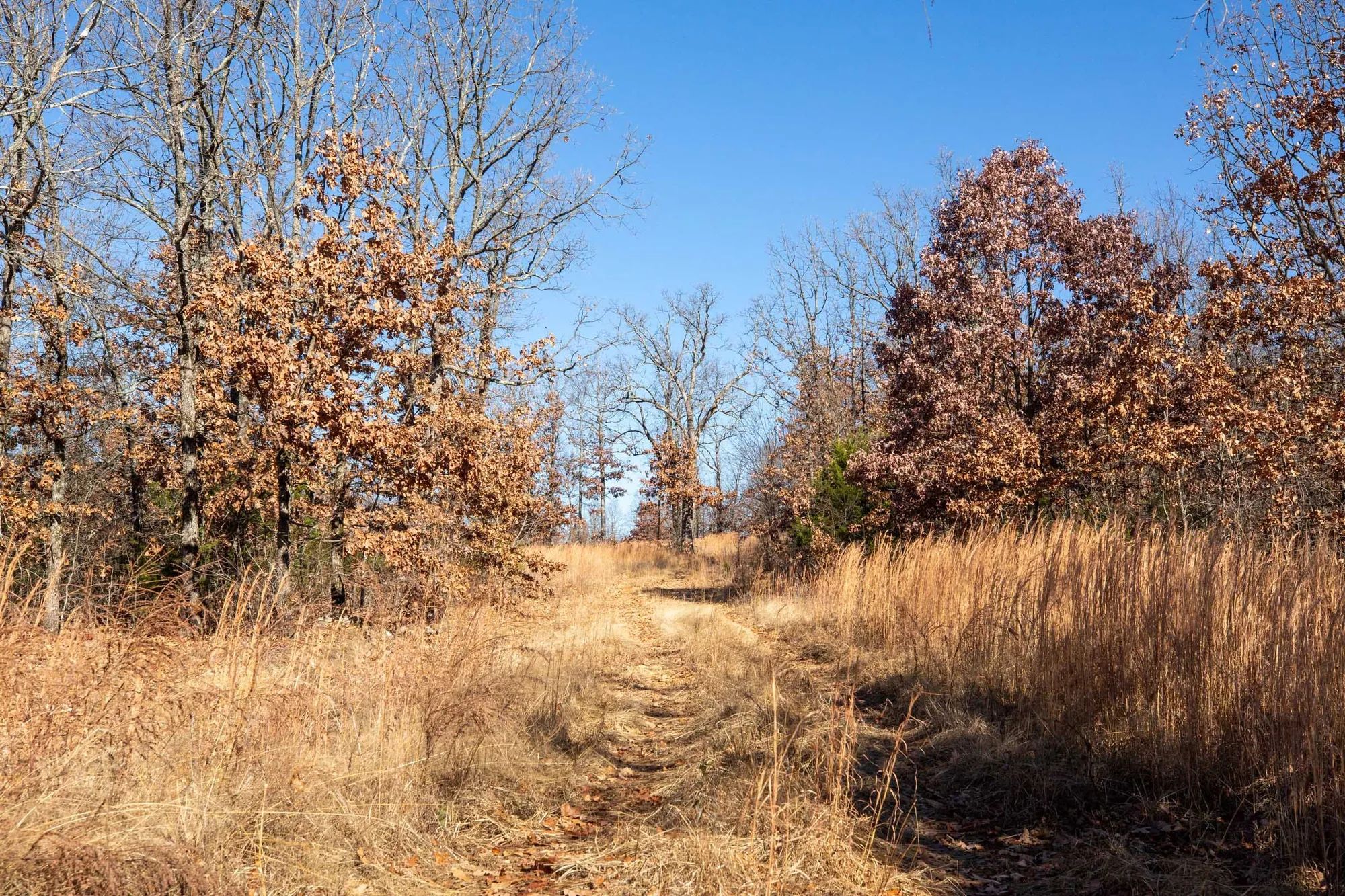 Dutchman Hollow Tract 1 in Fulton County, AR