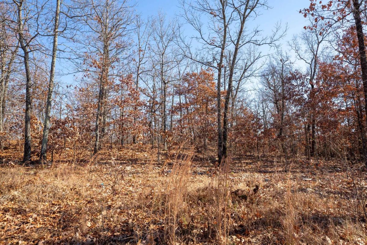 Decorative background for Dutchman Hollow Tract 1 image 6