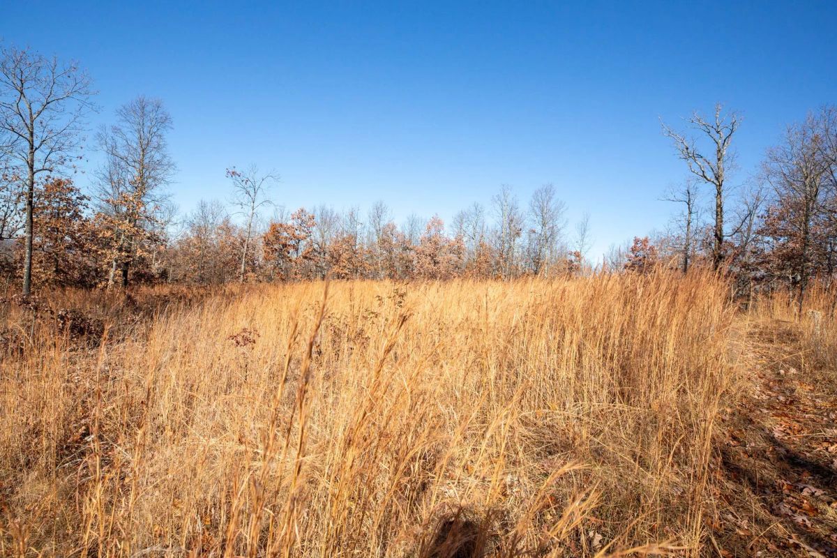 Decorative background for Dutchman Hollow Tract 1 image 7