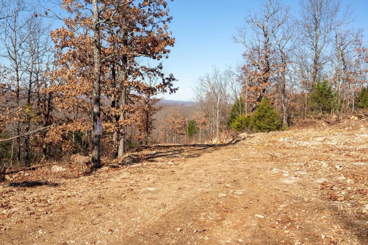 Decorative background for Dutchman Hollow Tract 1 image 8