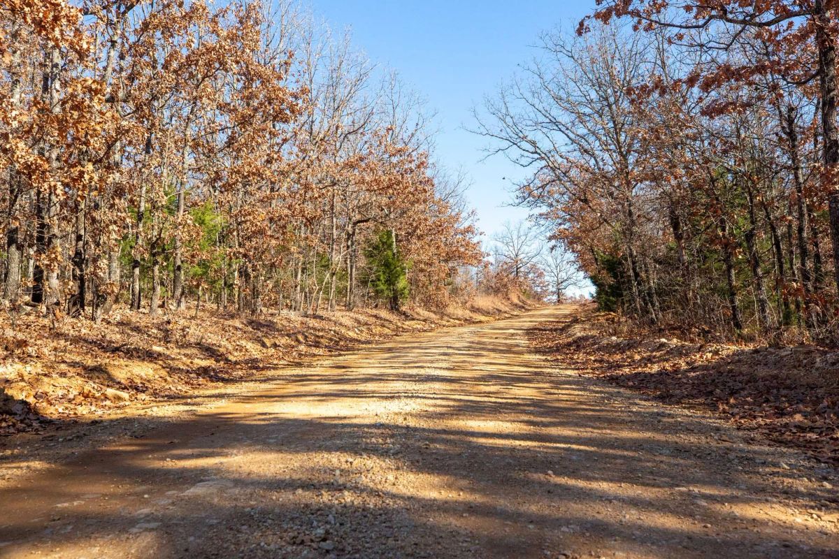 Decorative background for Dutchman Hollow Tract 1 image 12