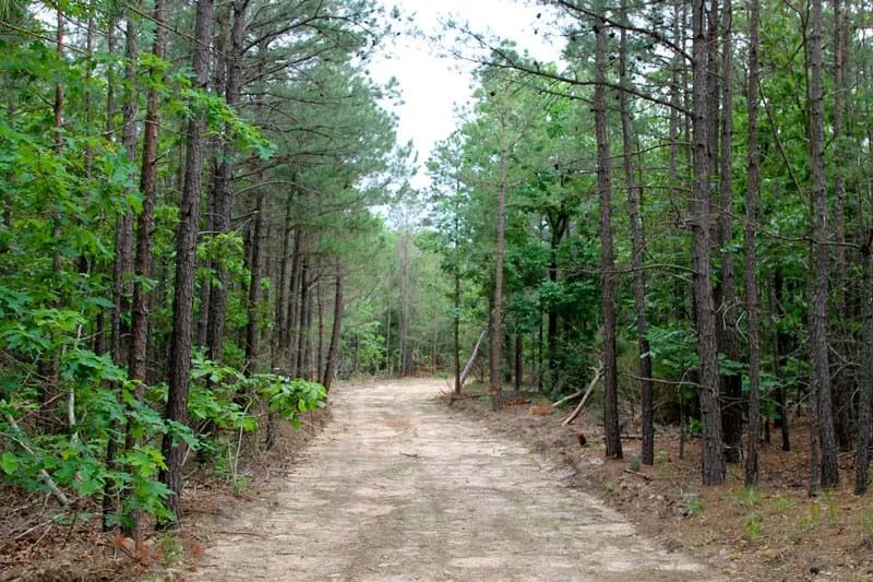Trophy Ridge Phase II Tract 75 in Pushmataha County, OK