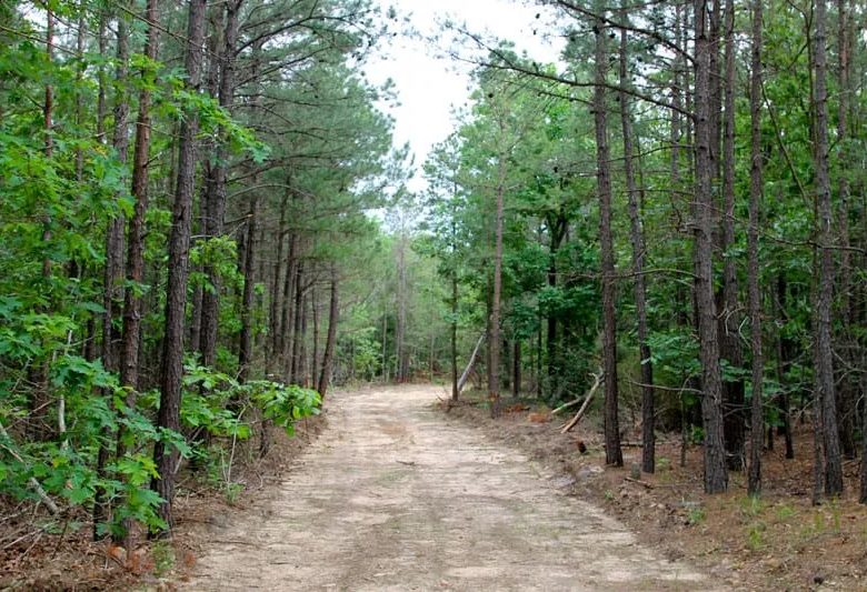 Trophy Ridge Phase II Tract 75 in Pushmataha County, OK