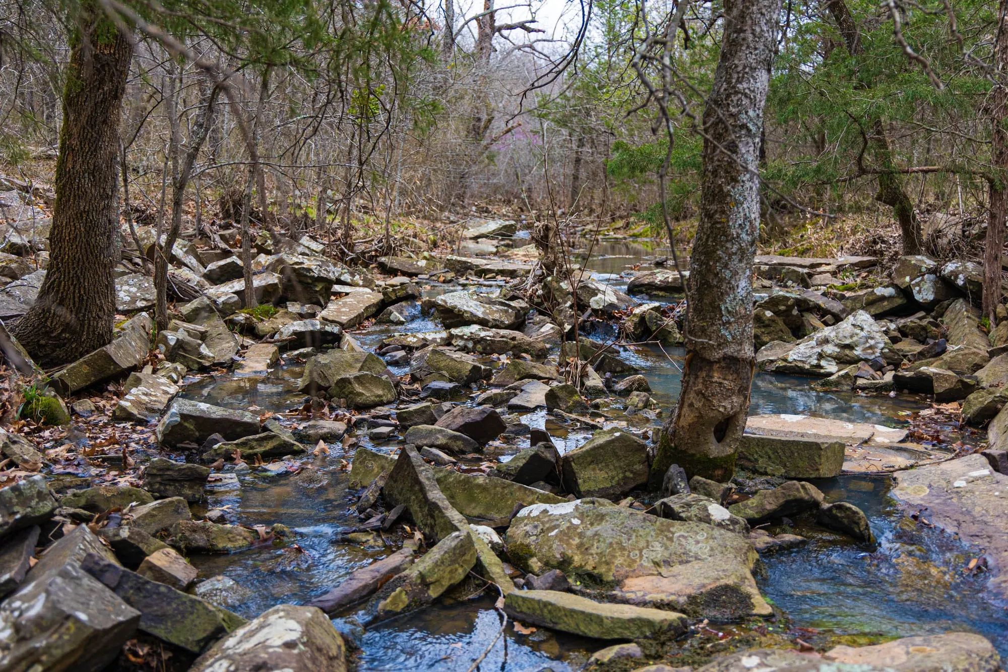 Reserves At Cattail Cove Phase I Tract 4 in Pittsburg County, OK