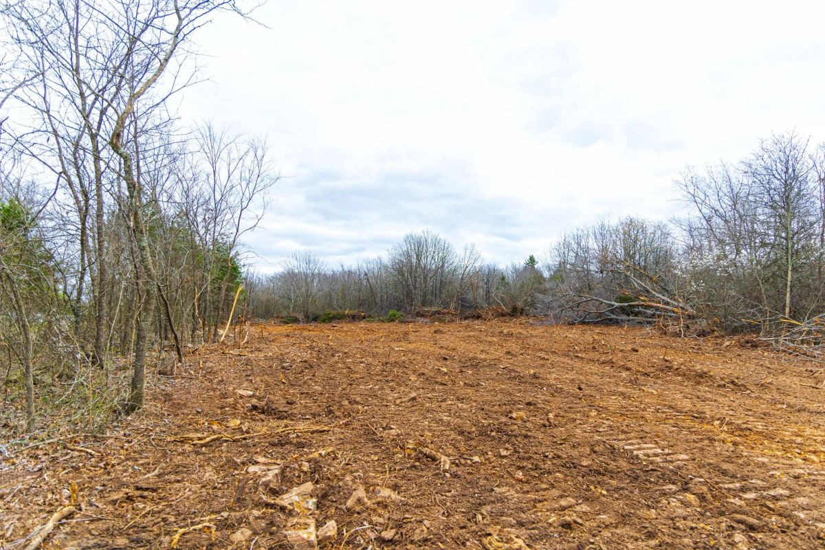 Decorative background for Reserves At Cattail Cove Phase I Tract 4 image 8
