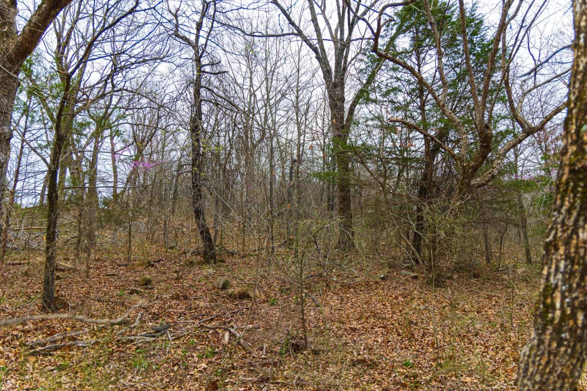 Decorative background for Reserves At Cattail Cove Phase I Tract 4 image 12