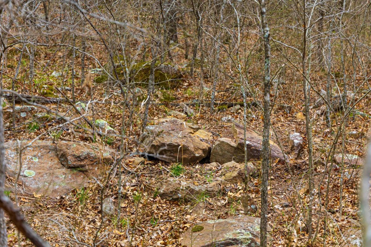 Decorative background for Reserves At Cattail Cove Phase I Tract 4 image 13