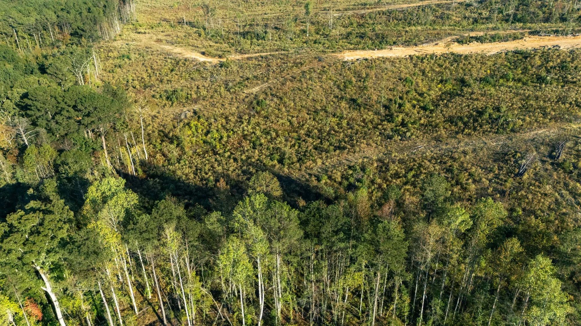 Meyer’s Ridge Tract 23 in Attala County, MS