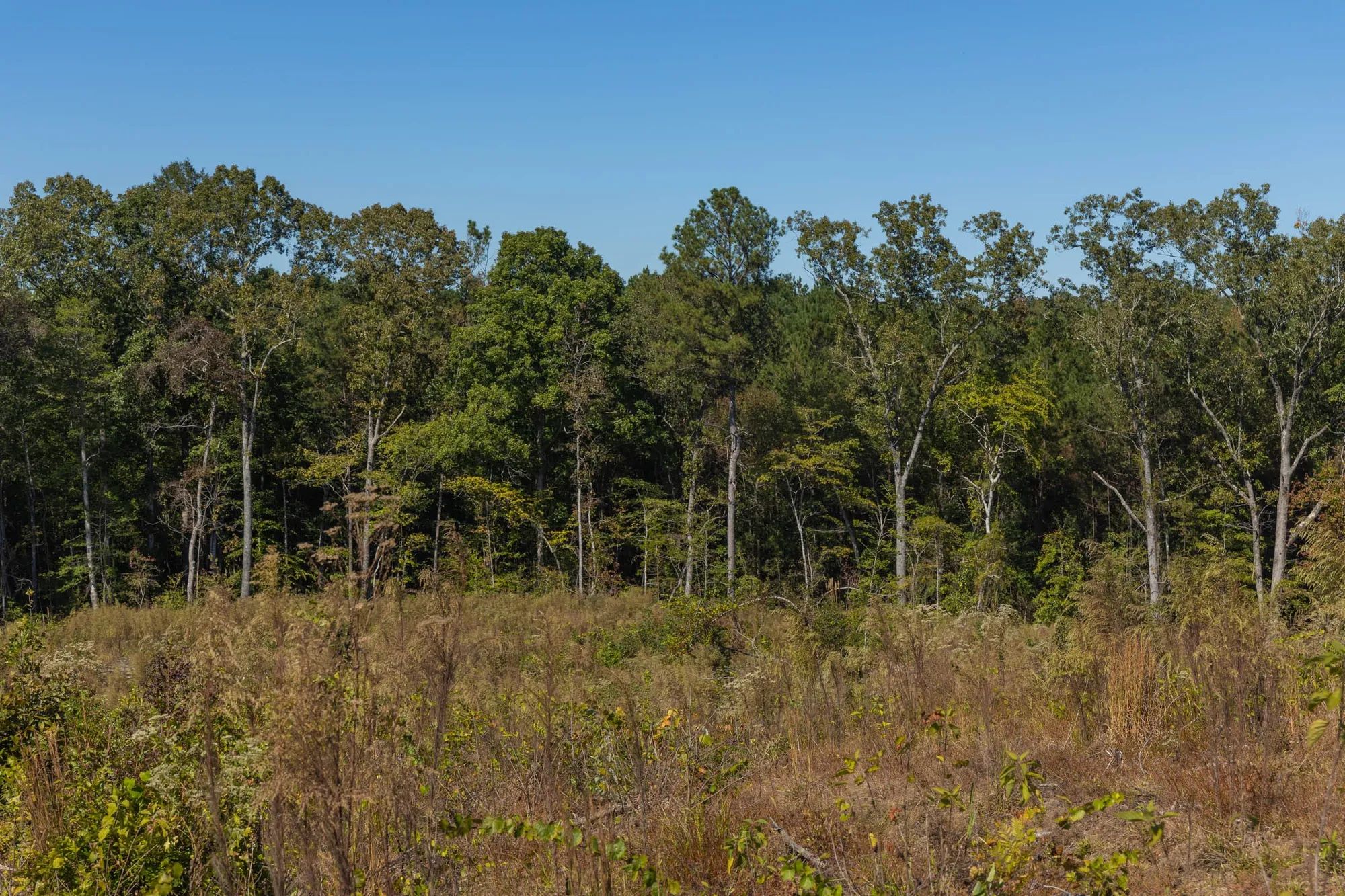 Meyer’s Ridge Tract 23 in Attala County, MS