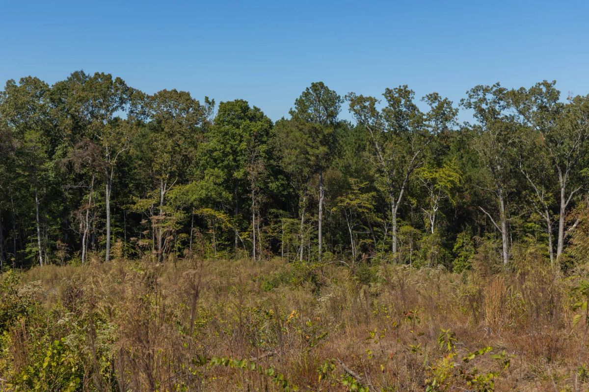 Meyer’s Ridge Tract 23 - Image 4