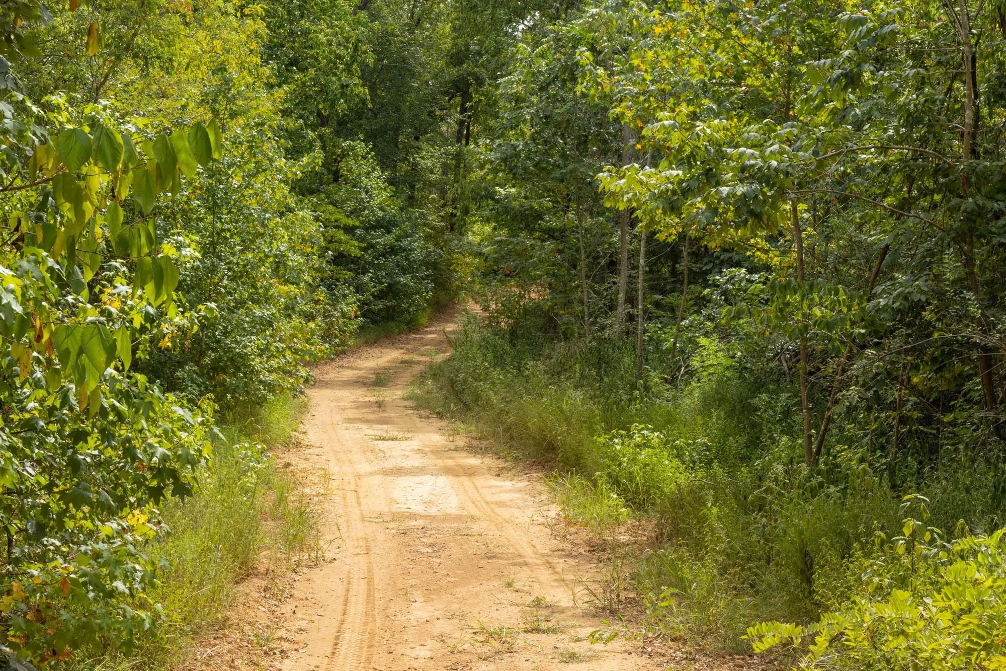 Big White Oak Tract 63 in Perry County, TN