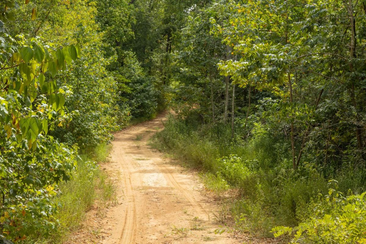 Big White Oak Tract 63 - Main image