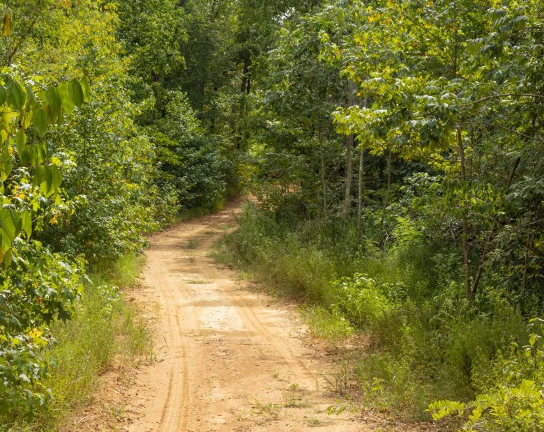 Big White Oak Tract 63 in Perry County, TN