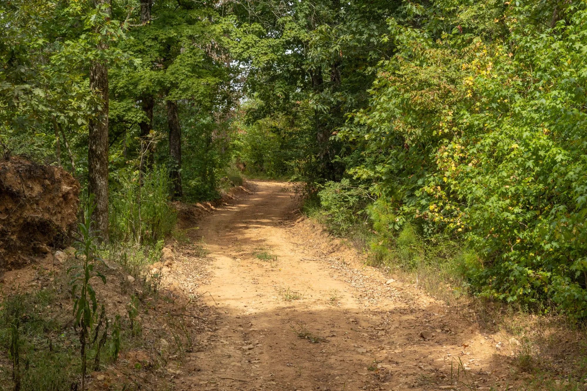 Big White Oak Tract 63 in Perry County, TN