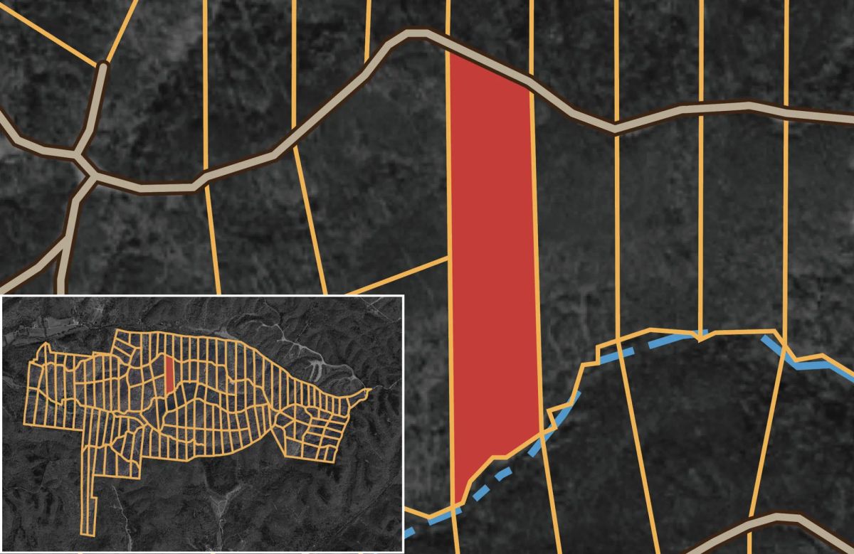 Decorative background for Big White Oak Tract 63 image 8