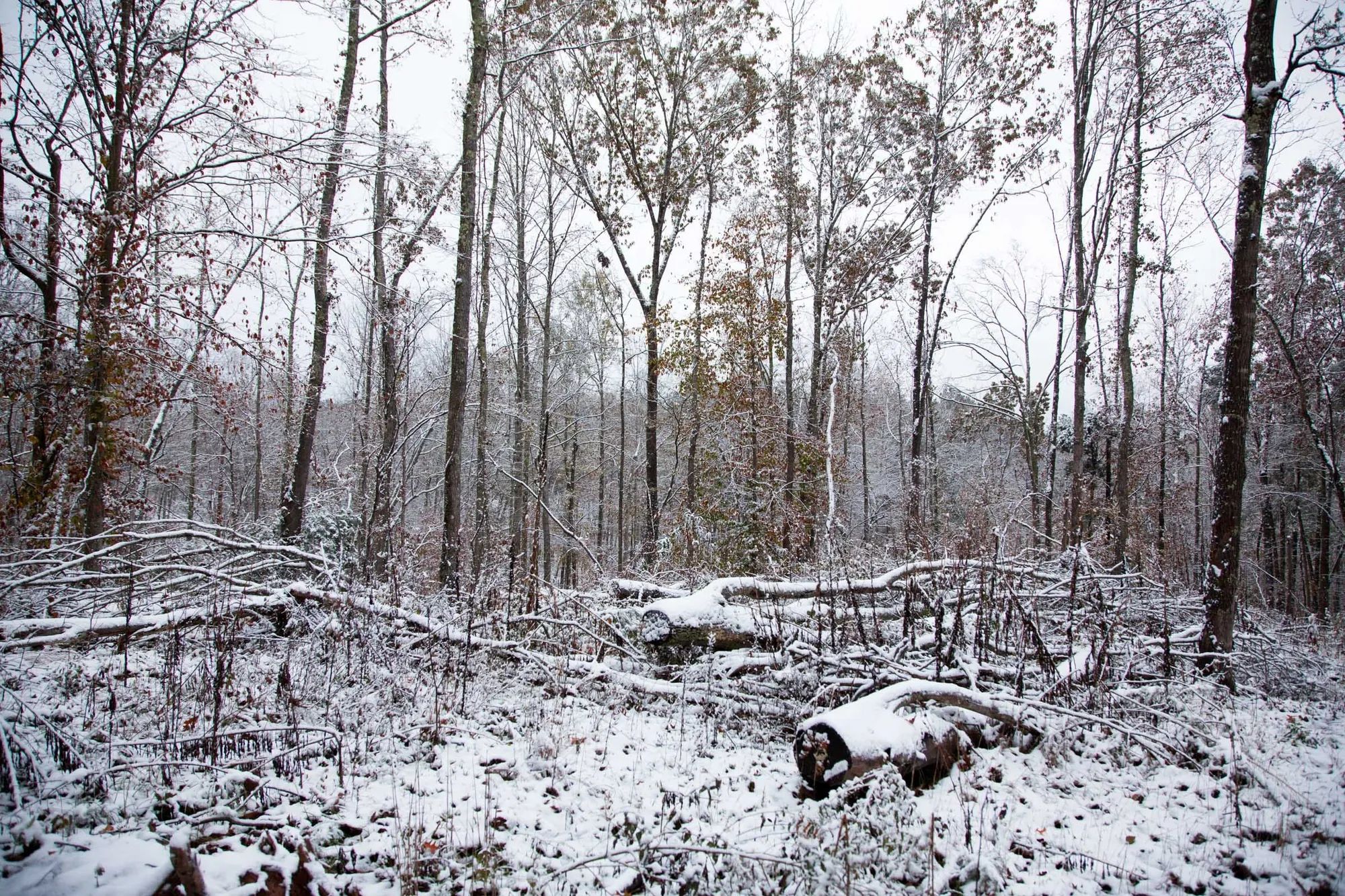 Sweet Water Ranch Tract 27