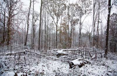 Sweet Water Ranch Tract 27